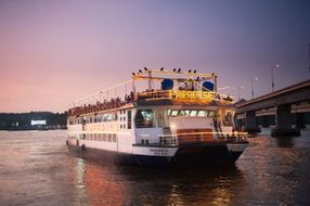 Paradise Dinner Cruise in Goa